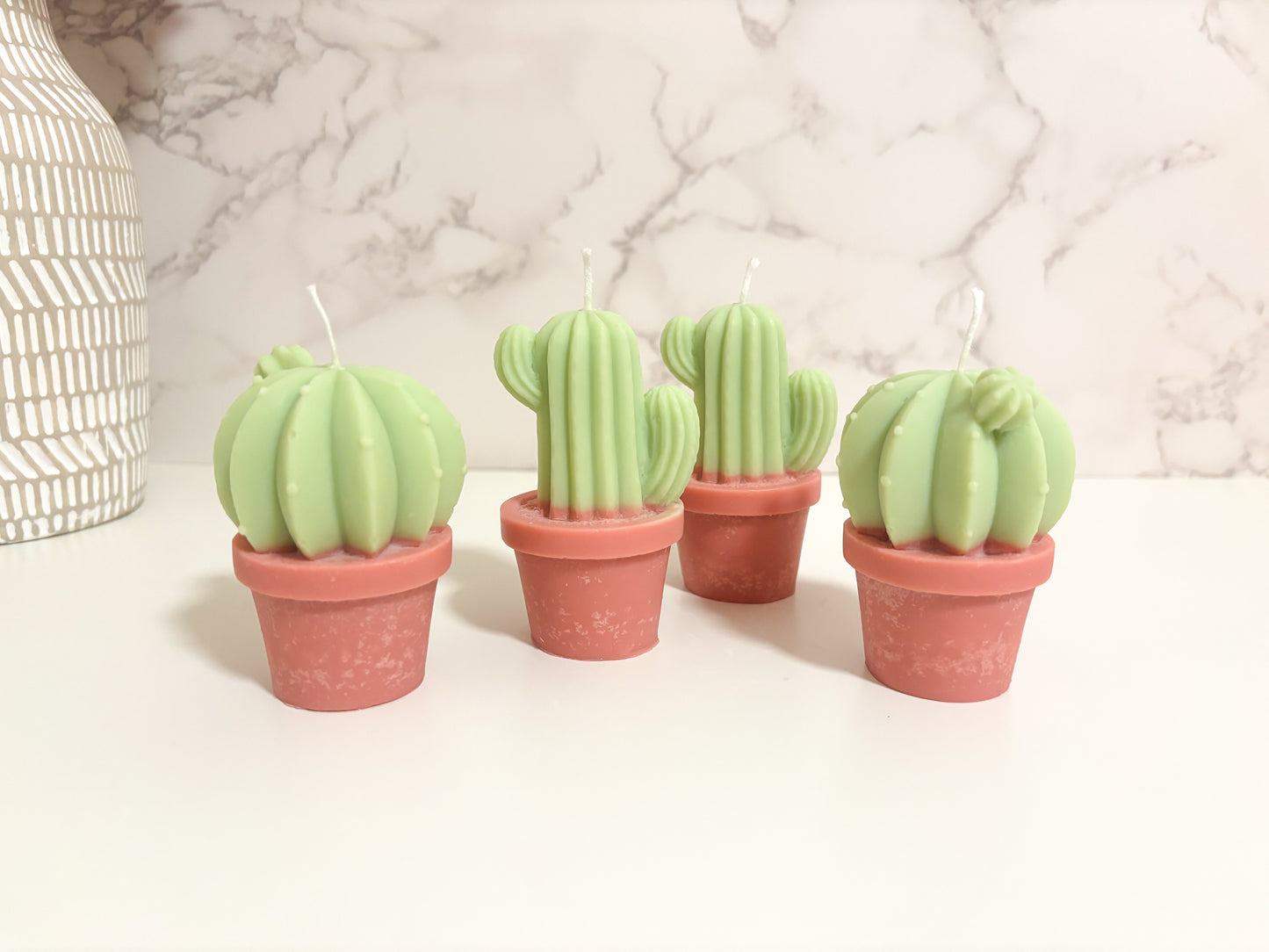 Cactus Collection