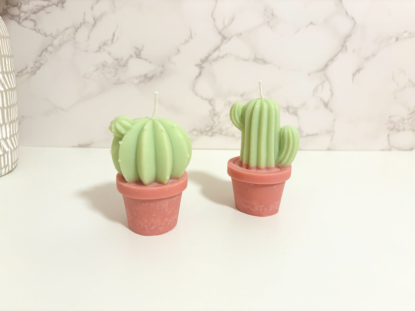 Cactus Collection