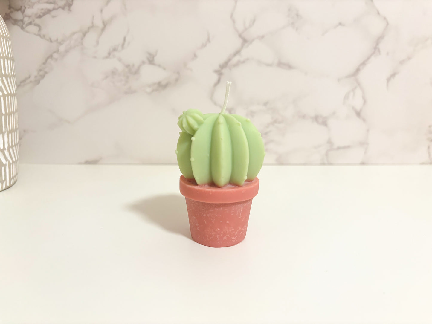 Cactus Collection