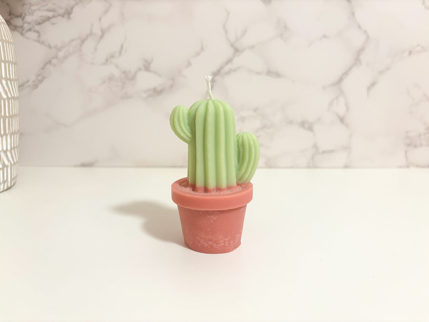 Cactus Collection