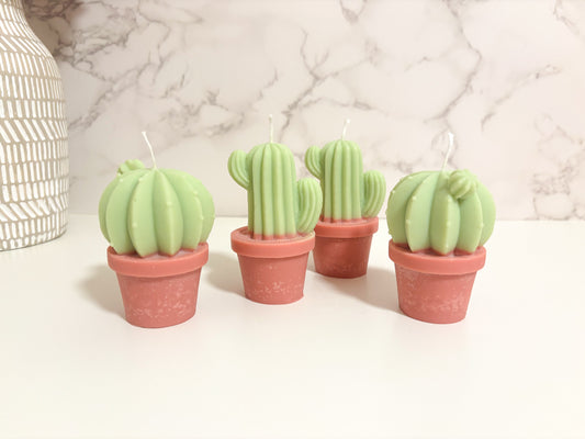 Cactus Collection